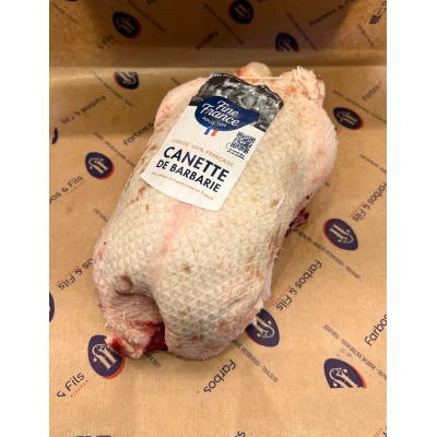 test Visuel 1 principal