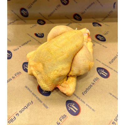 224 Visuel 1 principal