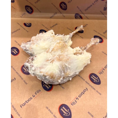 8 Visuel 1 principal