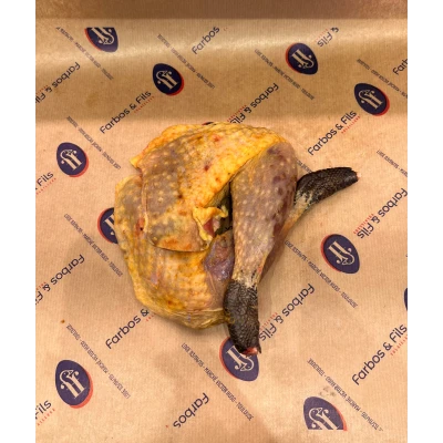 242 Visuel 1 principal