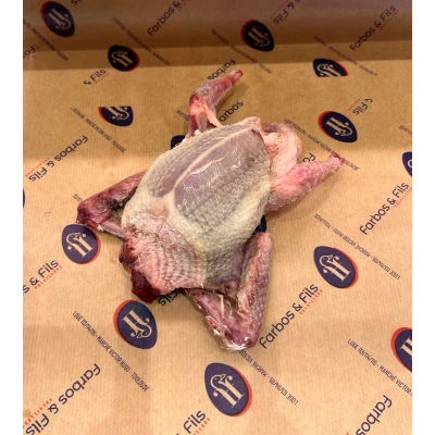 test Visuel 1 principal