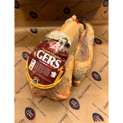 test Visuel 1 principal